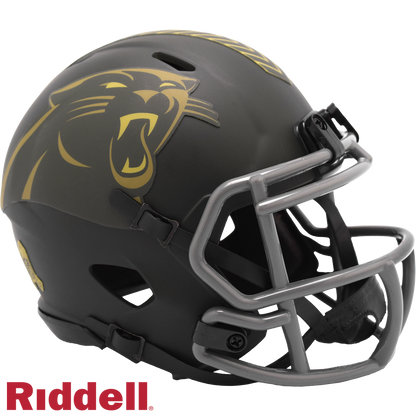 Panthers STS25 Mini Football Helmet #8059912
