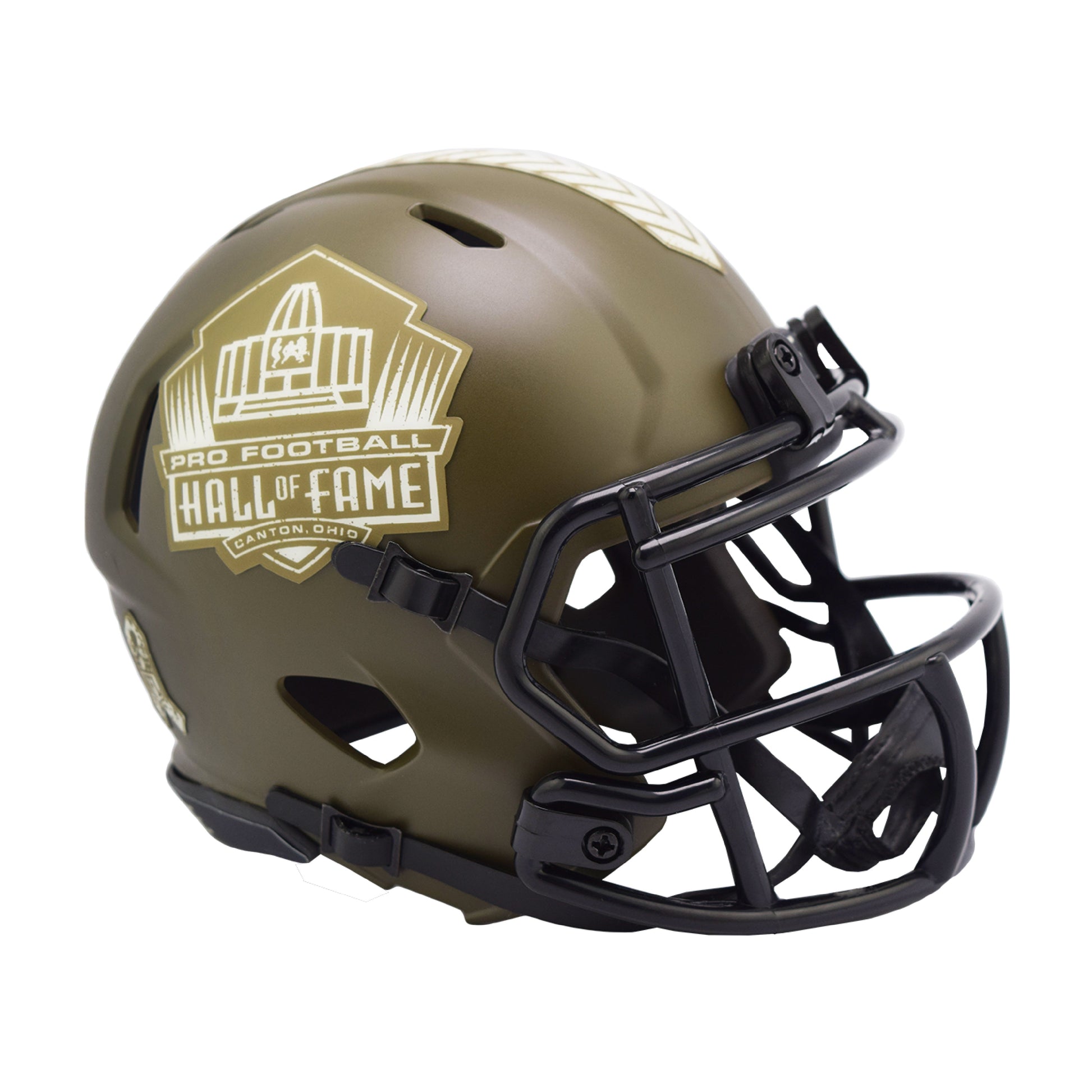 2022 football helmets Carolina Panthers On Field Alternate Authentic SpeedFlex At approx NFL Hall of Fame 2022
